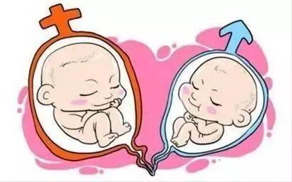 万级层流胚胎实验室